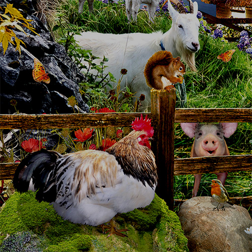 Irish Jigsaw Puzzles