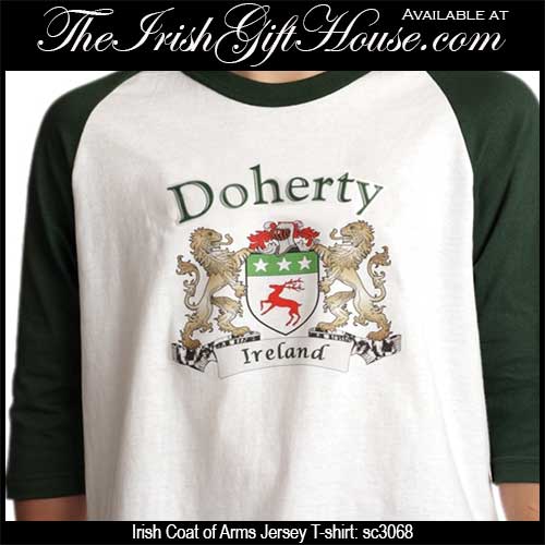 Threadrock Men's Ireland Lion Crest Flag Long Sleeve T-shirt Irish Flag