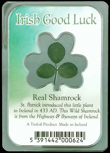 Shamrock with May Good Luck.. Irish Blessing Watervale Hanging Decoration 