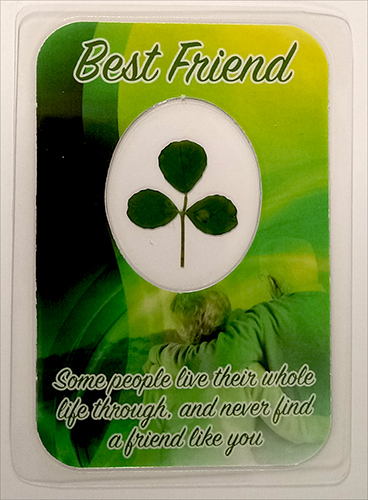 Real Four Leaf Clover Laminated Wallet Card/bookmark 