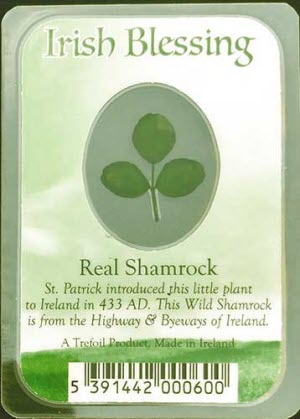 Shamrock Blessing Card - Luck of the Irish